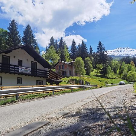 Hotel Casa Pietrosu Rodnei Borşa Zewnętrze zdjęcie