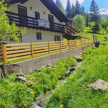Hotel Casa Pietrosu Rodnei Borşa Zewnętrze zdjęcie