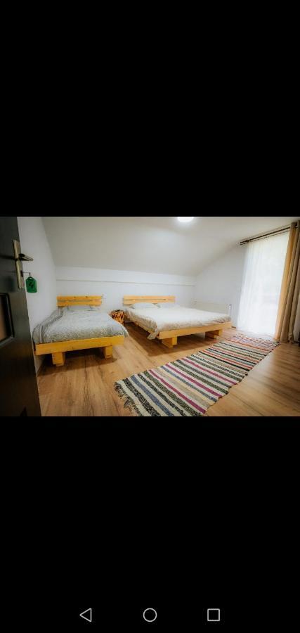 Hotel Casa Pietrosu Rodnei Borşa Zewnętrze zdjęcie