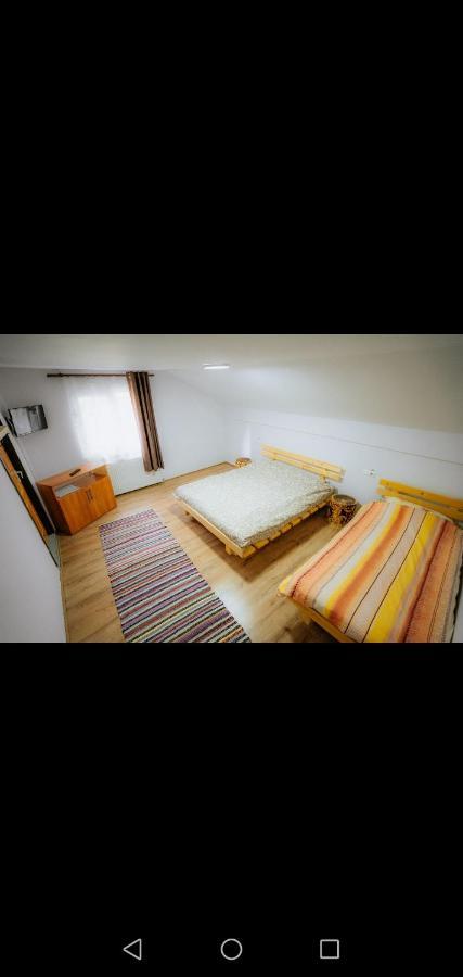Hotel Casa Pietrosu Rodnei Borşa Zewnętrze zdjęcie