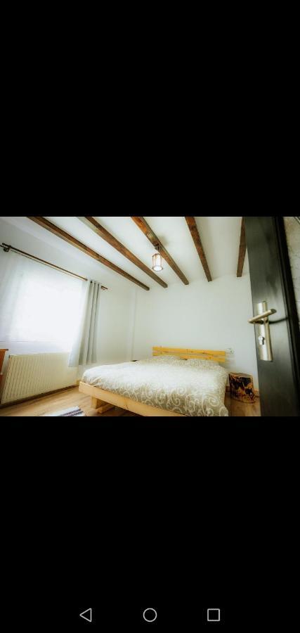 Hotel Casa Pietrosu Rodnei Borşa Zewnętrze zdjęcie