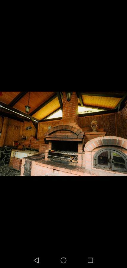 Hotel Casa Pietrosu Rodnei Borşa Zewnętrze zdjęcie