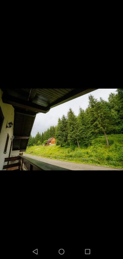 Hotel Casa Pietrosu Rodnei Borşa Zewnętrze zdjęcie