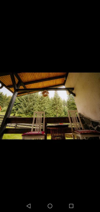 Hotel Casa Pietrosu Rodnei Borşa Zewnętrze zdjęcie