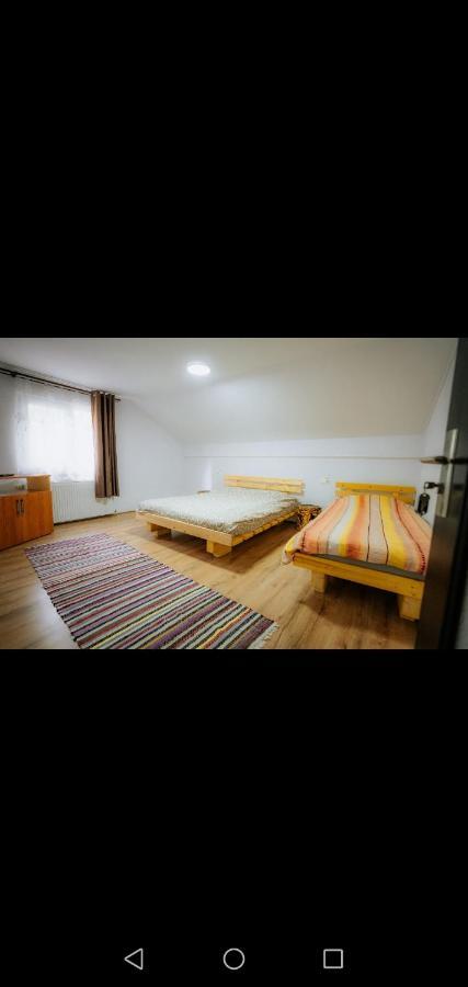Hotel Casa Pietrosu Rodnei Borşa Zewnętrze zdjęcie