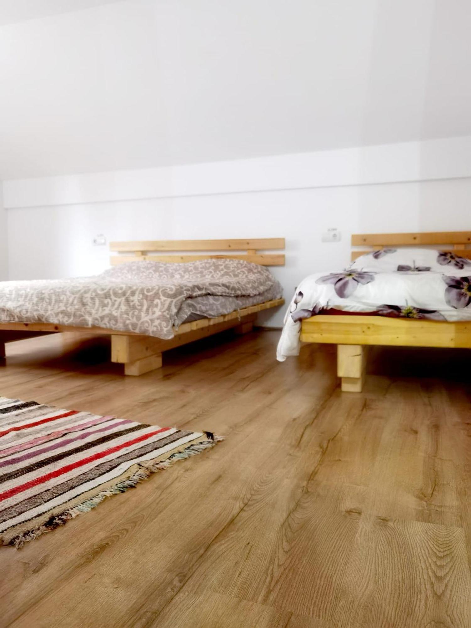 Hotel Casa Pietrosu Rodnei Borşa Zewnętrze zdjęcie