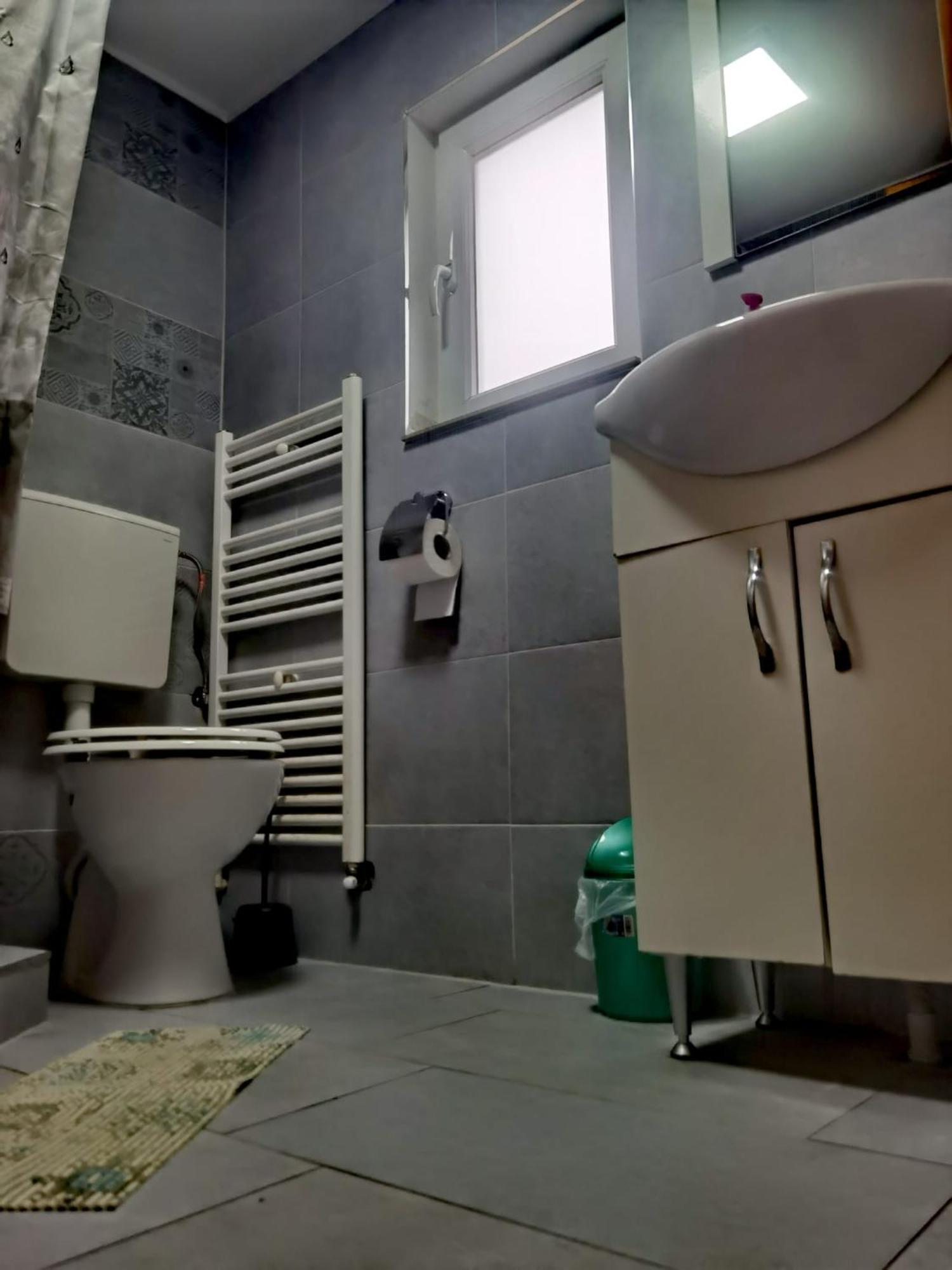 Hotel Casa Pietrosu Rodnei Borşa Zewnętrze zdjęcie