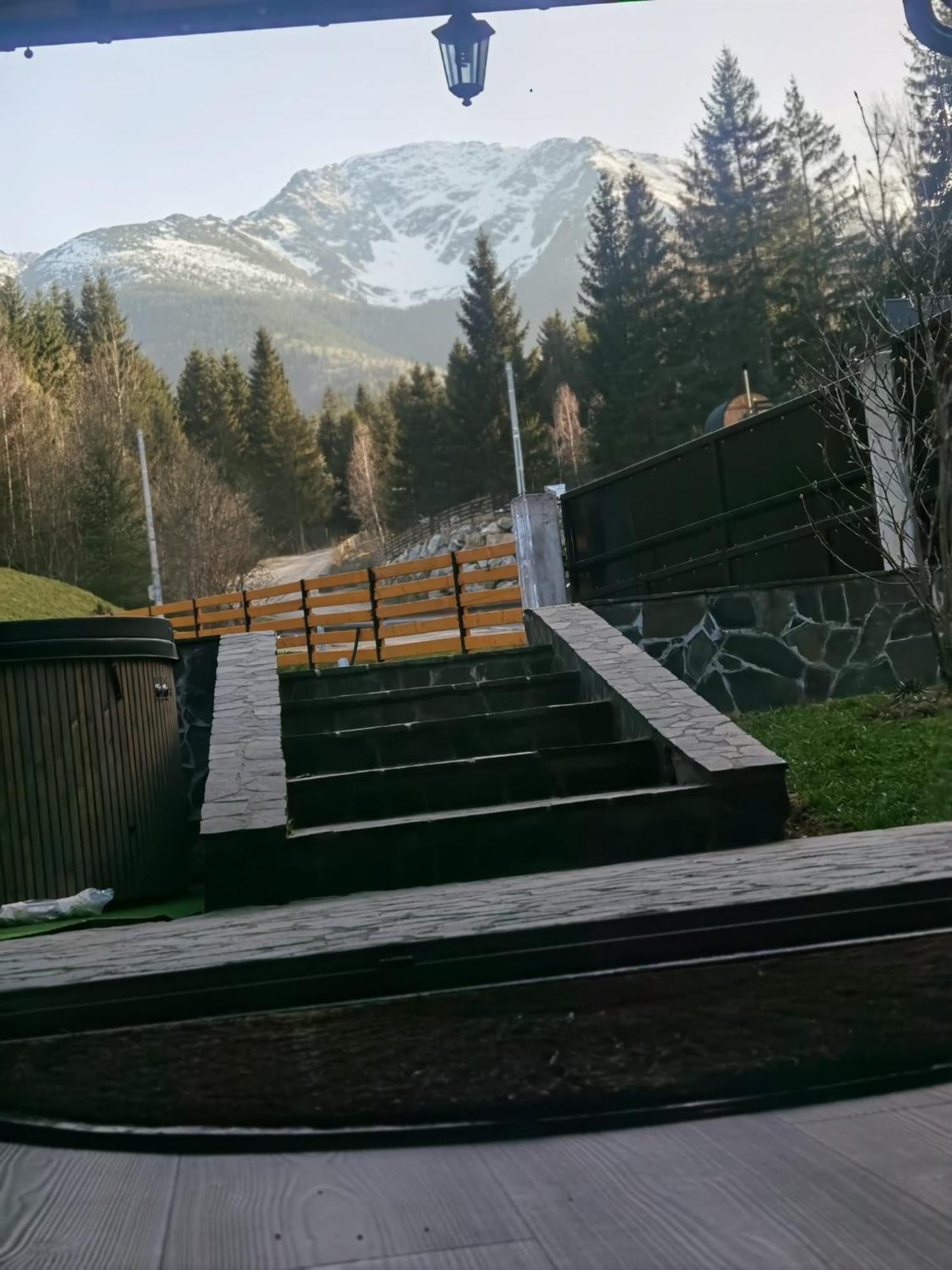 Hotel Casa Pietrosu Rodnei Borşa Zewnętrze zdjęcie