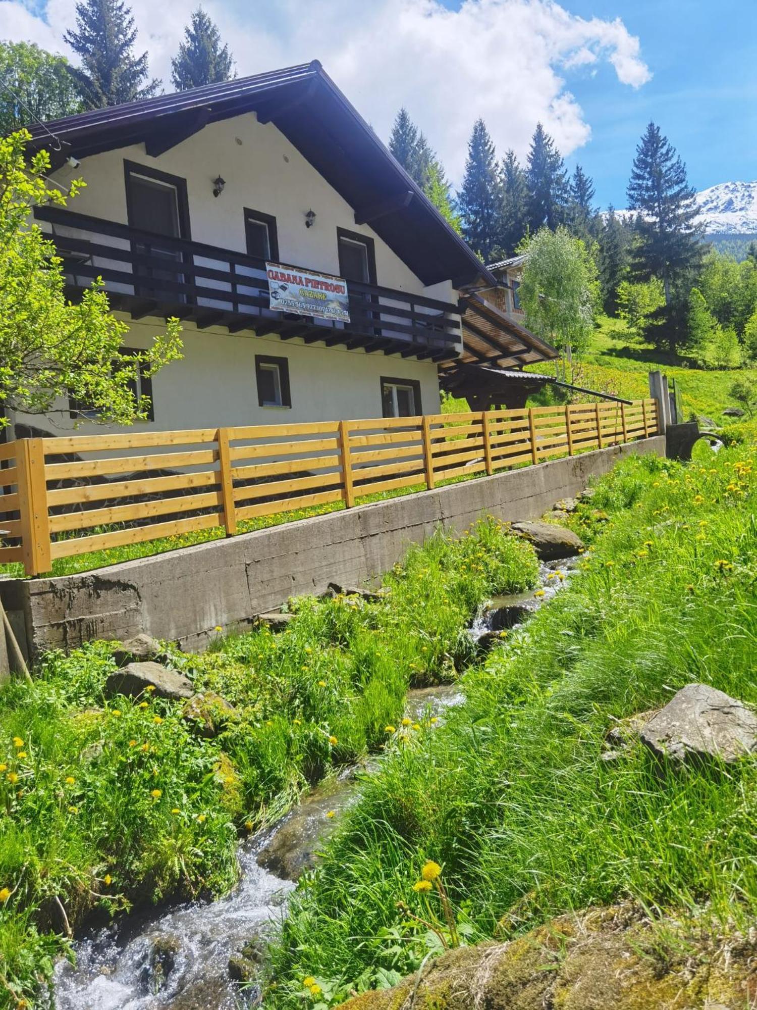 Hotel Casa Pietrosu Rodnei Borşa Zewnętrze zdjęcie