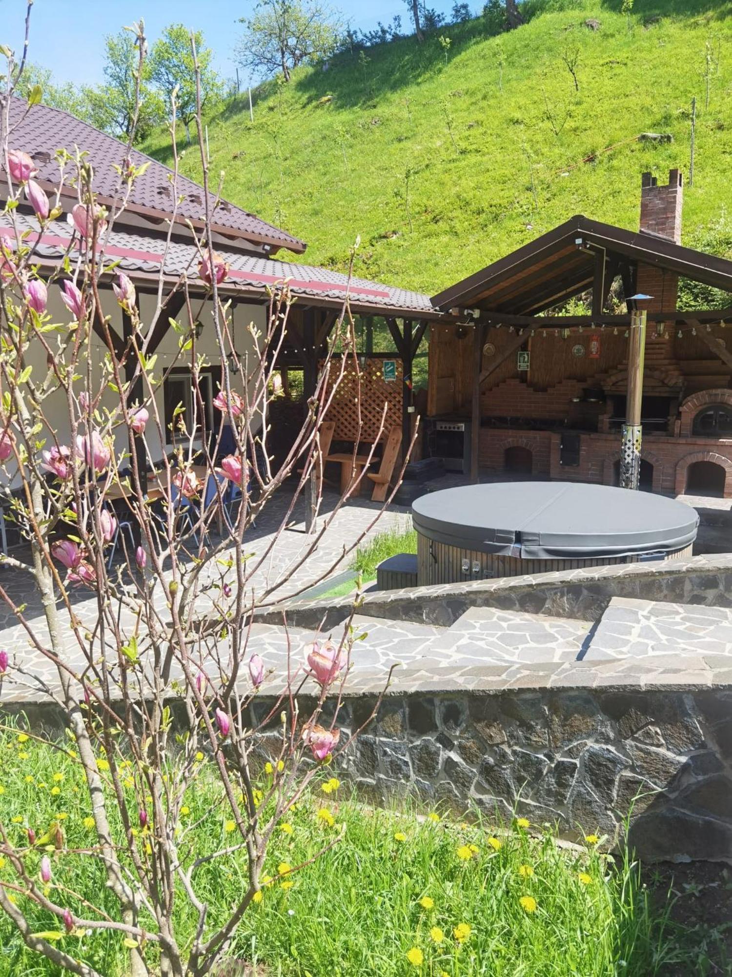 Hotel Casa Pietrosu Rodnei Borşa Zewnętrze zdjęcie